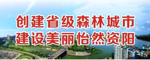 污操逼创建省级森林城市 建设美丽怡然资阳